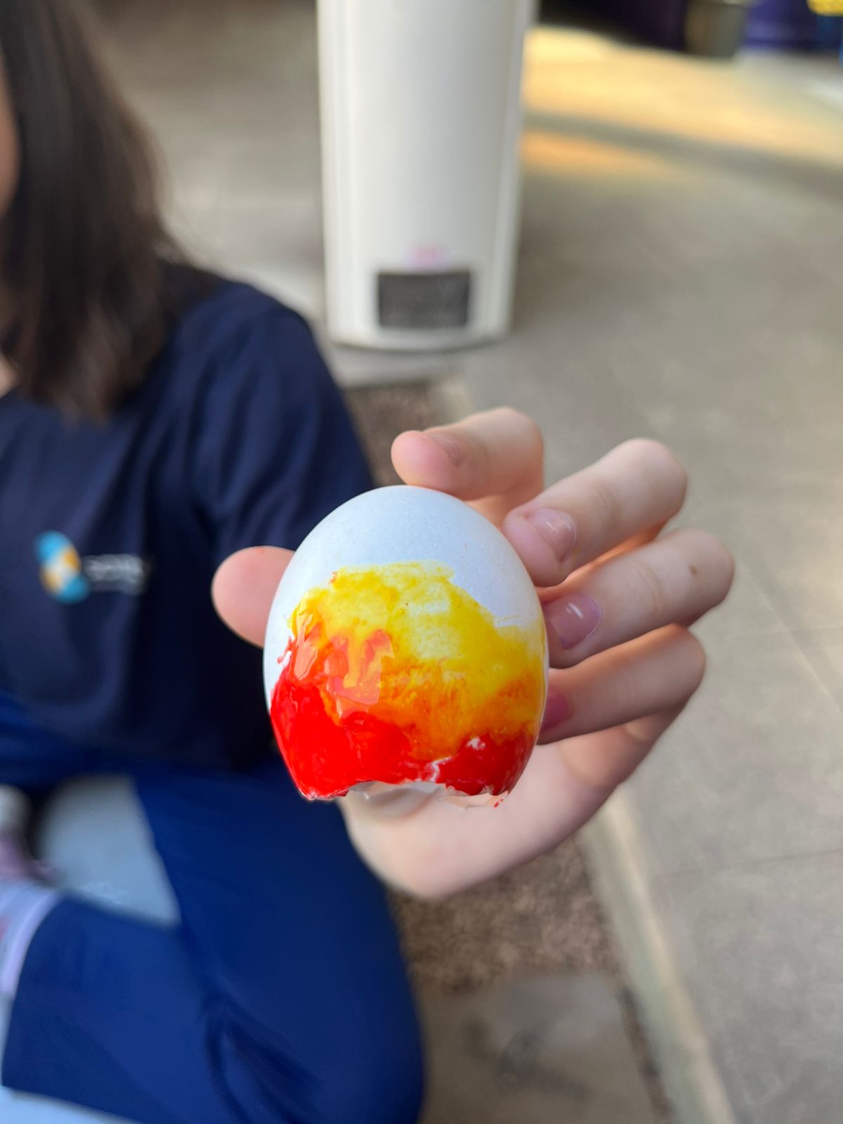 WhatsApp Image 2026-03-25 at 10.51.05